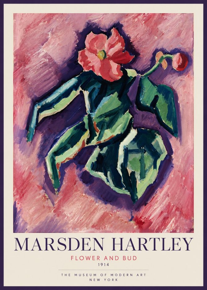 Marsden Hartley Flower and Bud No2 - Póster