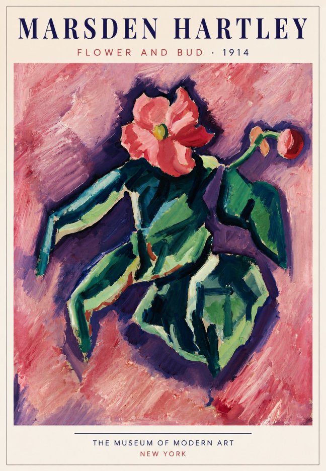 Marsden Hartley Flower and Bud No5 - Póster