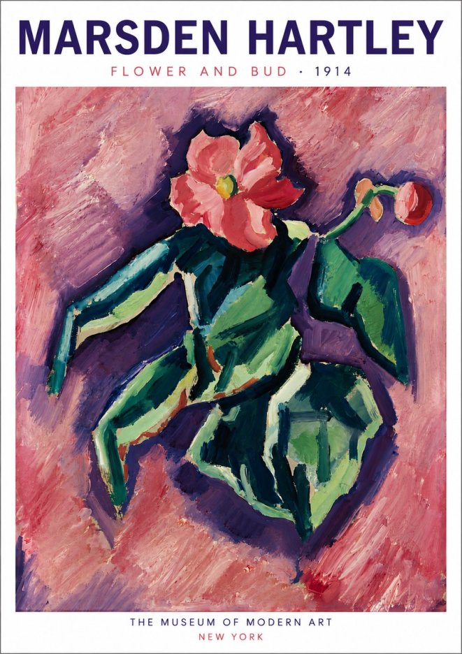 Marsden Hartley Flower and Bud No6 - Póster