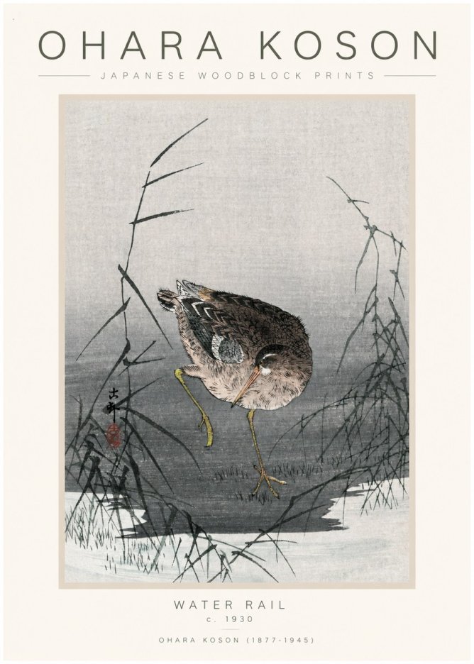 Ohara Koson Water Rail No1 - Póster