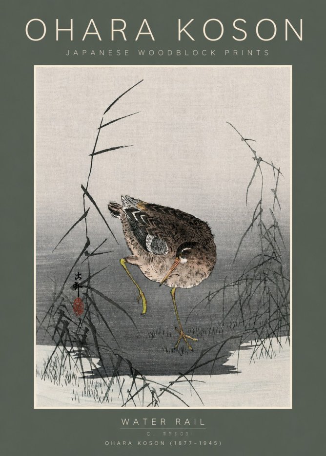 Ohara Koson Water Rail No5 - Póster