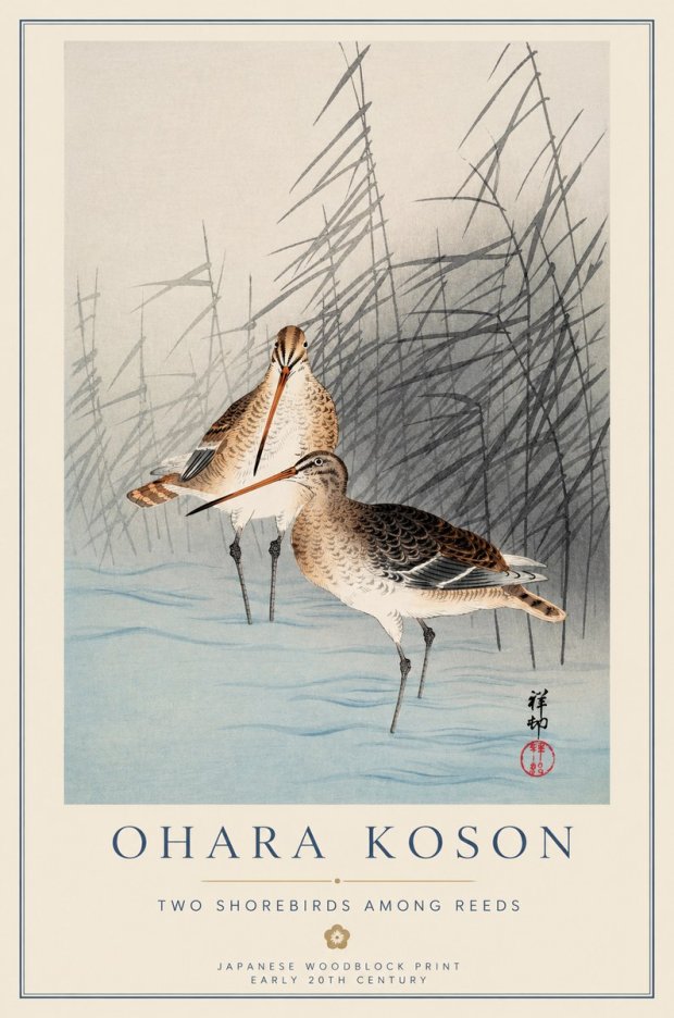 Ohara Koson Snipe in the Reeds No2 - Póster