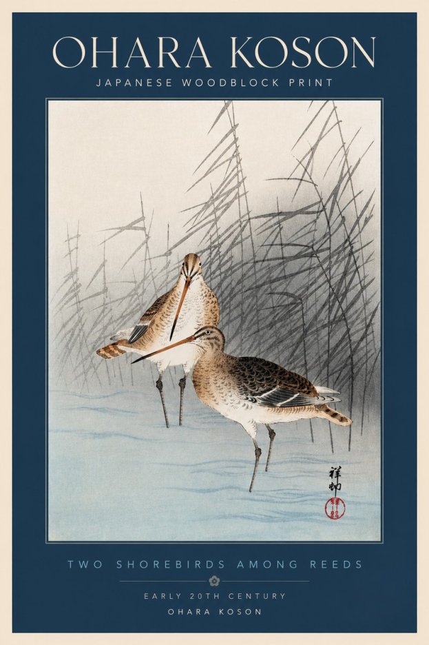 Ohara Koson Snipe in the Reeds No4 - Póster