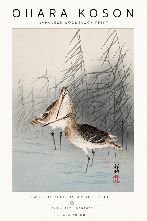 Ohara Koson Snipe in the Reeds No5 - Póster