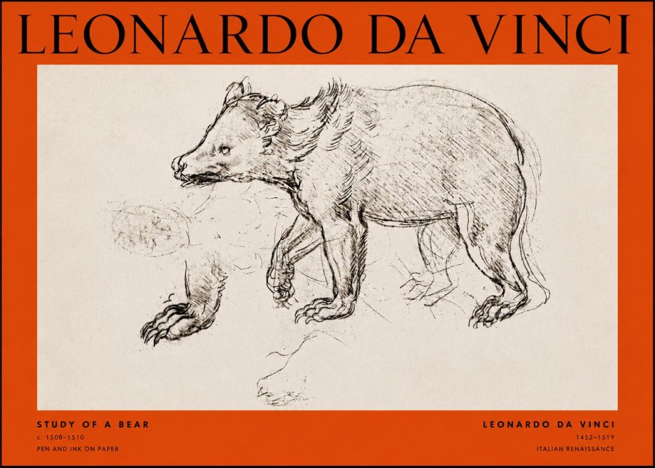 Leonardo da Vinci Study of a Bear No2 - Póster