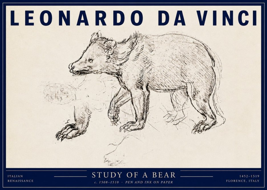 Leonardo da Vinci Study of a Bear No3 - Póster