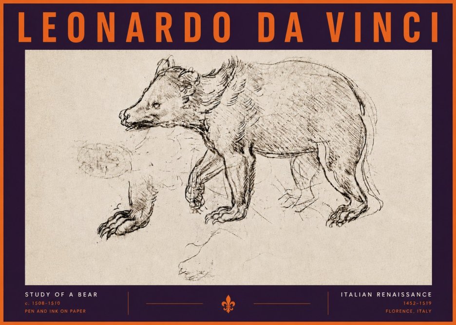 Leonardo da Vinci Study of a Bear No6 - Póster