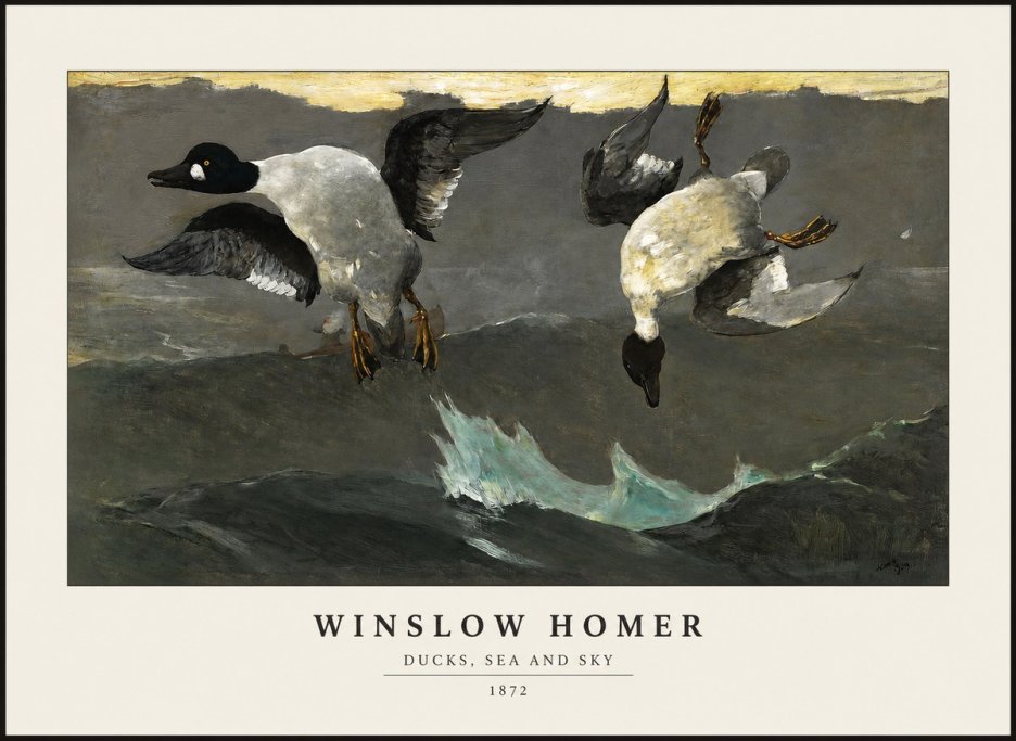 Winslow Homer Ducks, Sea and Sky No1 - Póster