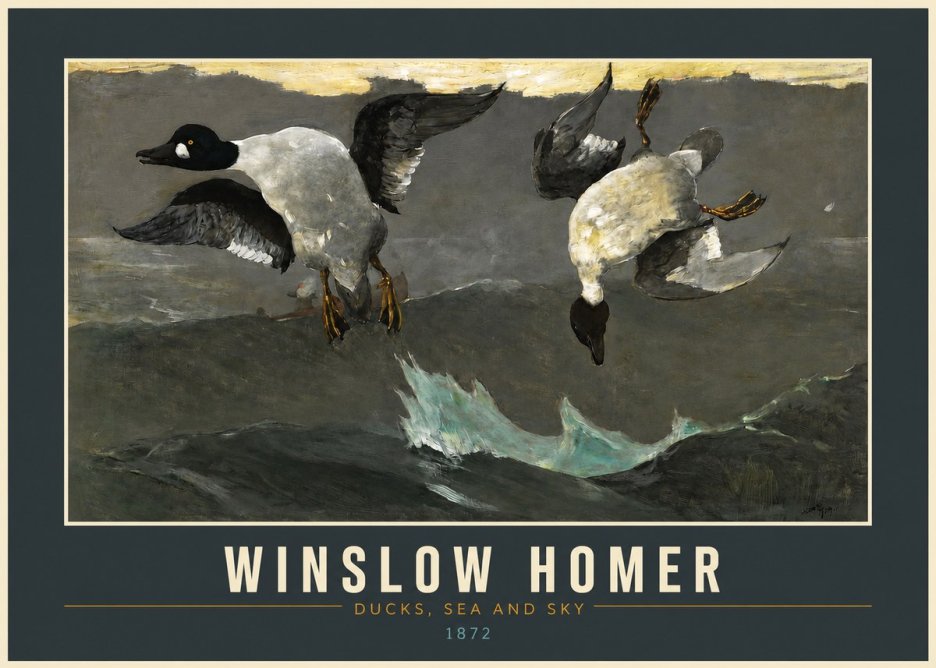 Winslow Homer Ducks, Sea and Sky No2 - Póster
