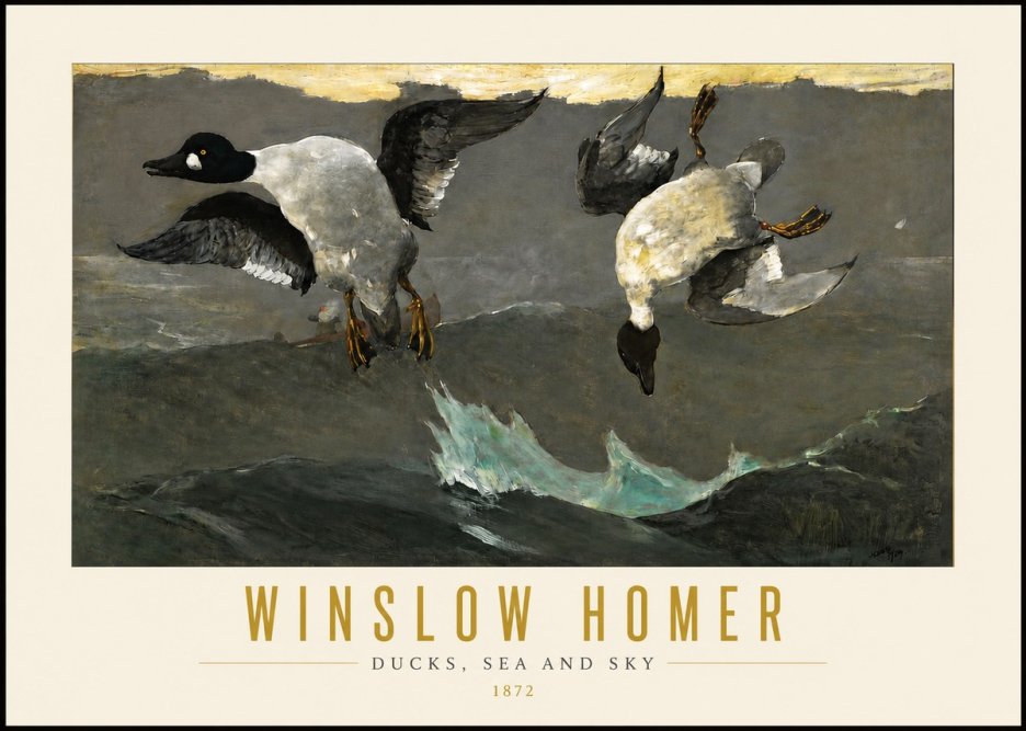 Winslow Homer Ducks, Sea and Sky No4 - Póster