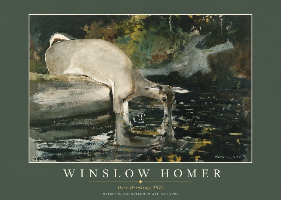 Winslow Homer Deer Drinking No2 - Póster