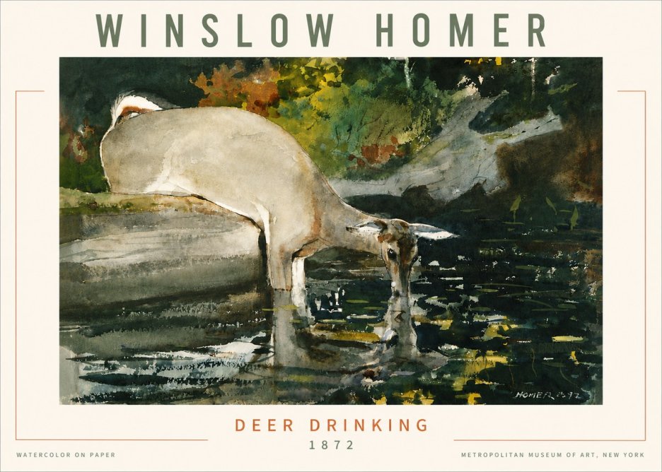 Winslow Homer Deer Drinking No4 - Póster