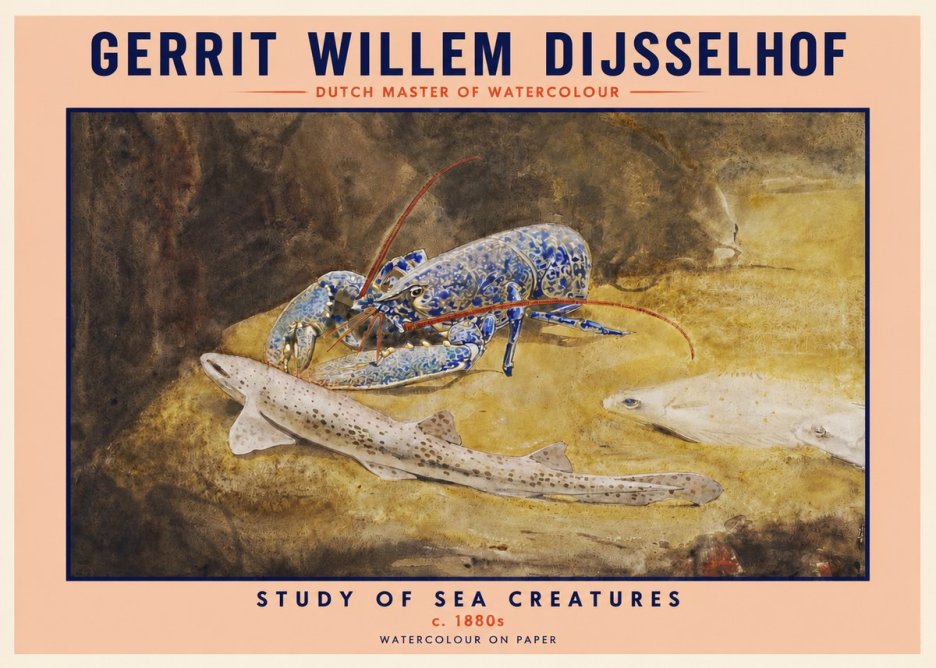 Gerrit Willem Dijsselhof Study of Sea Creatures No2 - Póster