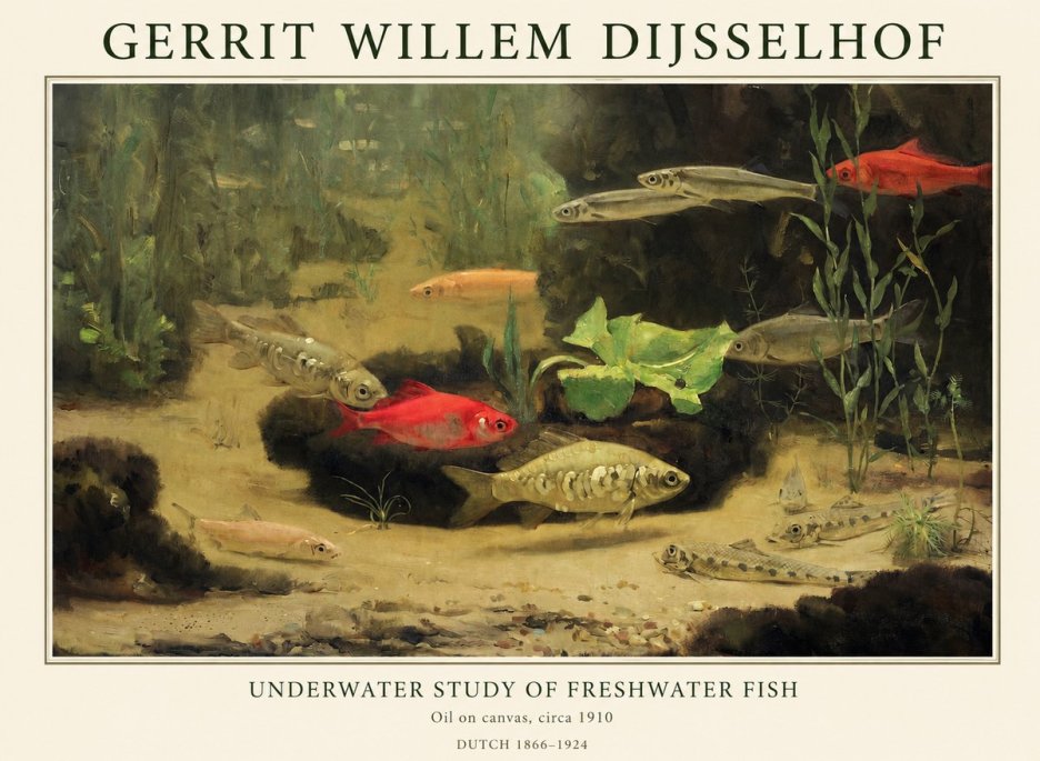 Gerrit Willem Dijsselhof Underwater Study of Freshwater Fish No1 - Póster