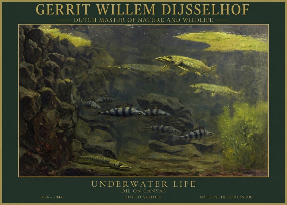 Gerrit Willem Dijsselhof Underwater Life No1 - Póster