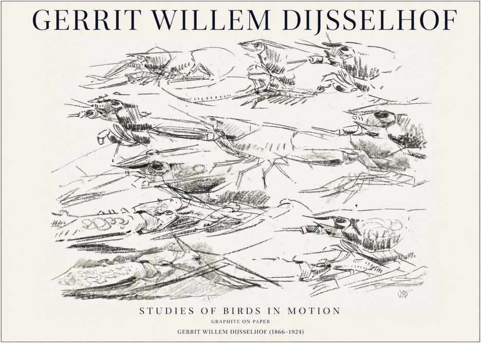 Gerrit Willem Dijsselhof Studies of Birds in Motion No1 - Póster