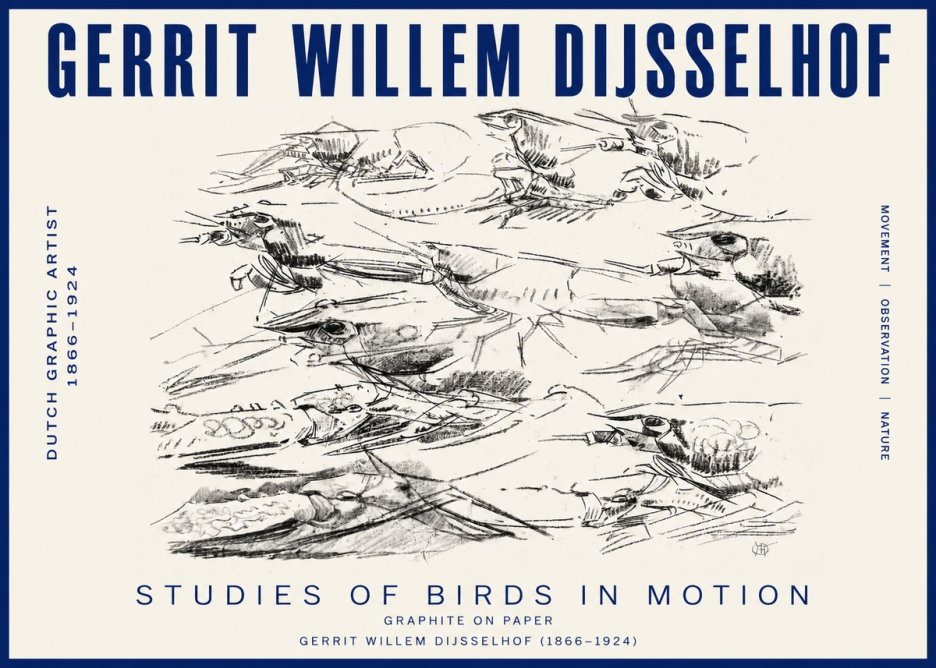 Gerrit Willem Dijsselhof Studies of Birds in Motion No3 - Póster