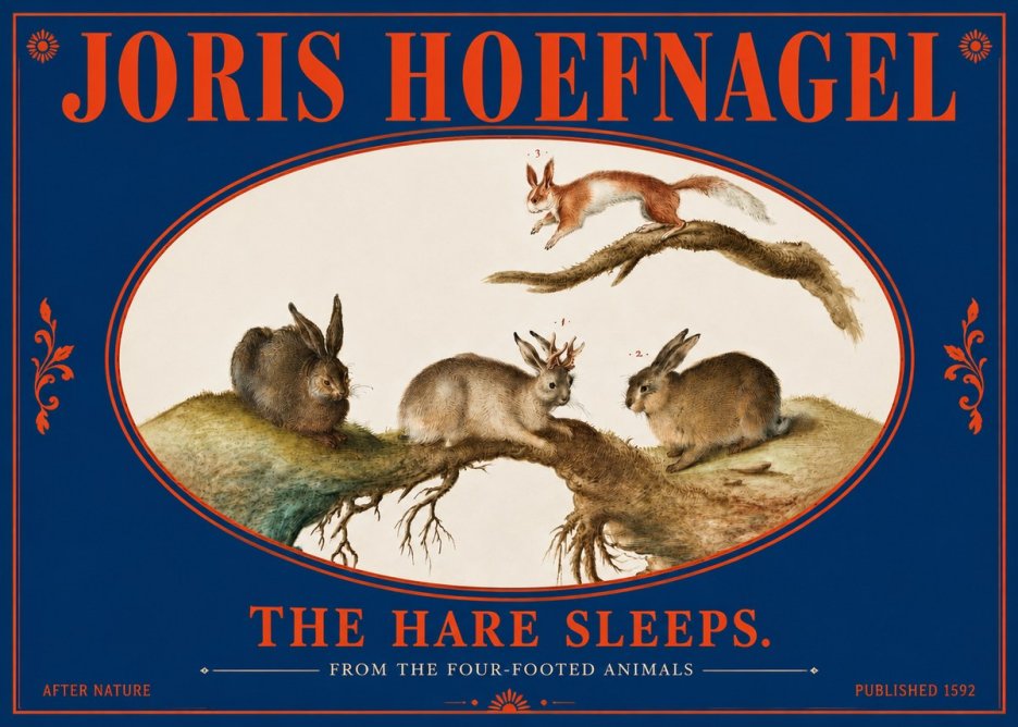 Joris Hoefnagel Lepvs Dormit No5 - Póster