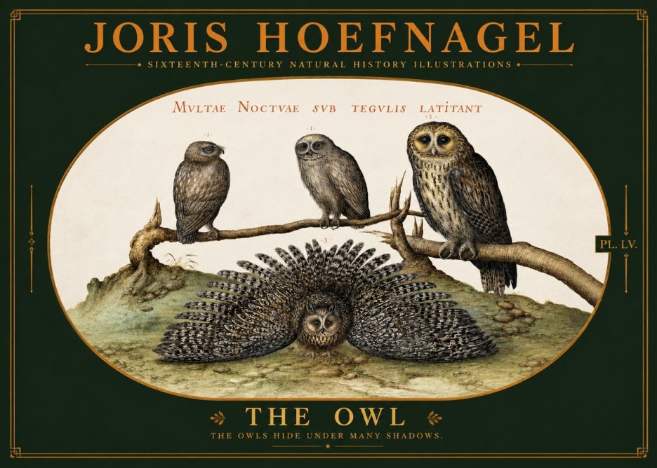 Joris Hoefnagel Noctva Volat No6 - Póster