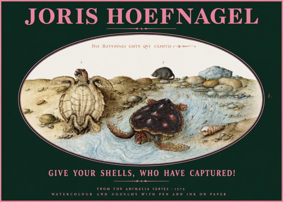 Joris Hoefnagel Two Turtles in a Stream No3 - Póster