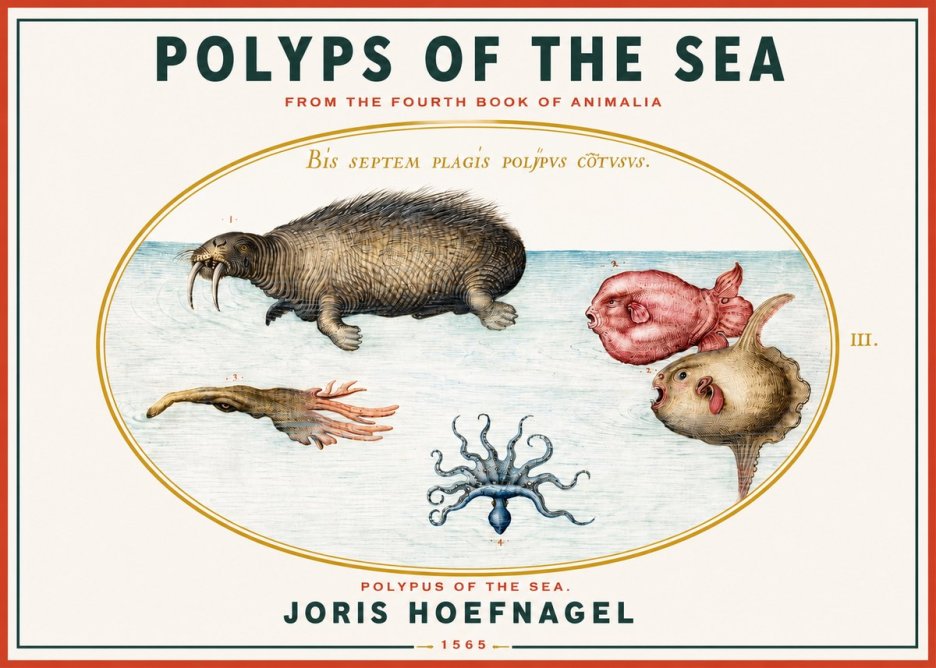 Joris Hoefnagel Polyps of the Sea No3 - Póster
