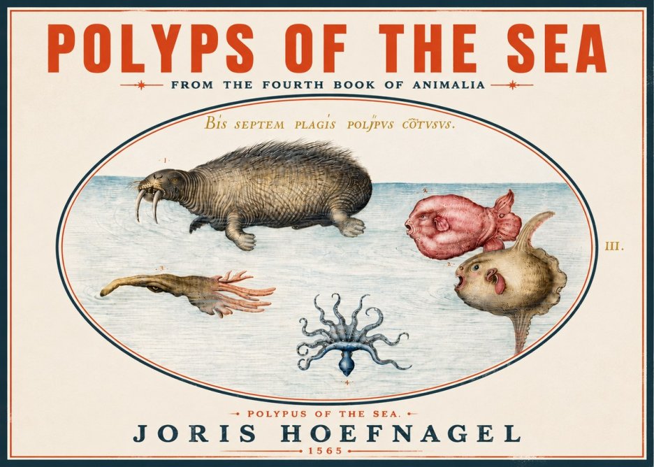 Joris Hoefnagel Polyps of the Sea No4 - Póster