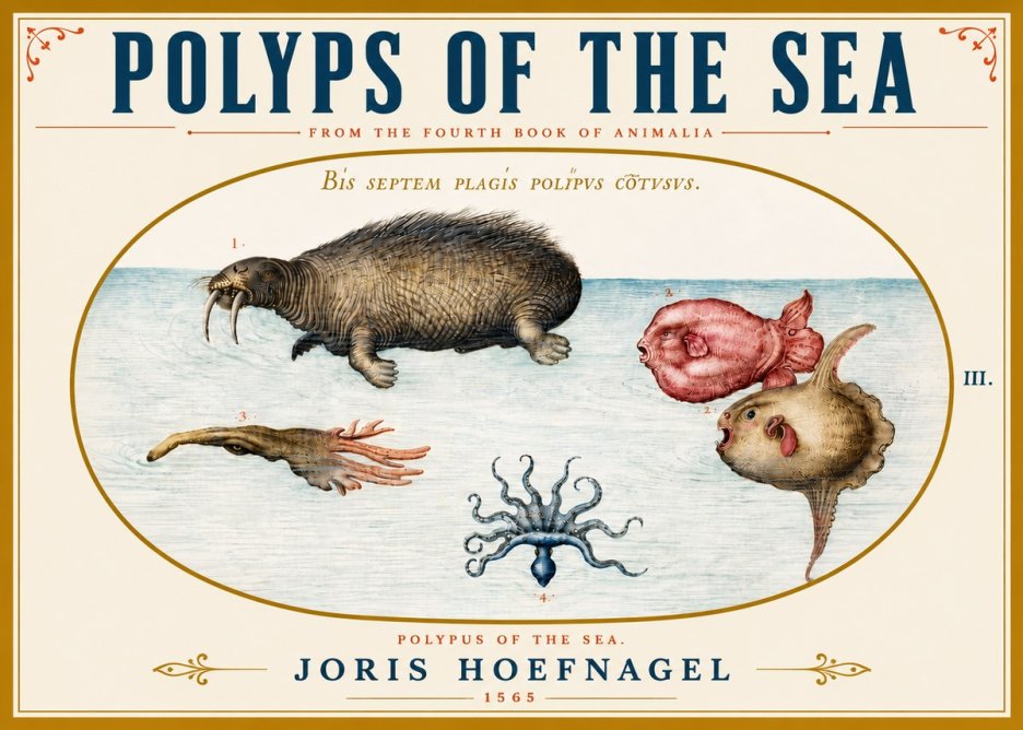 Joris Hoefnagel Polyps of the Sea No5 - Póster