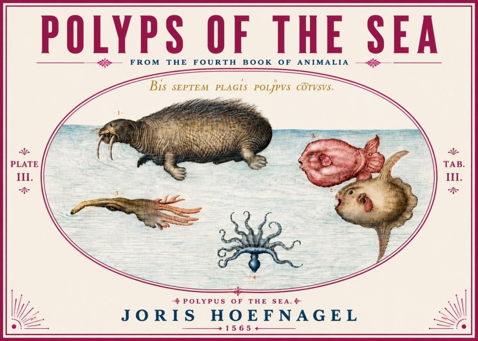 Joris Hoefnagel Polyps of the Sea No6 - Póster