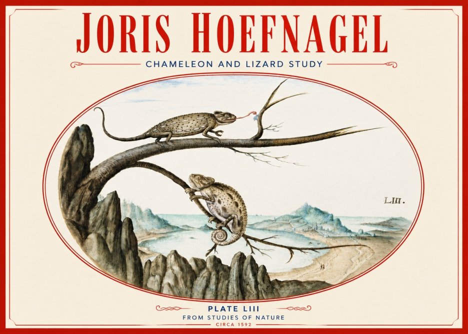 Joris Hoefnagel Chameleon and Lizard No4 - Póster