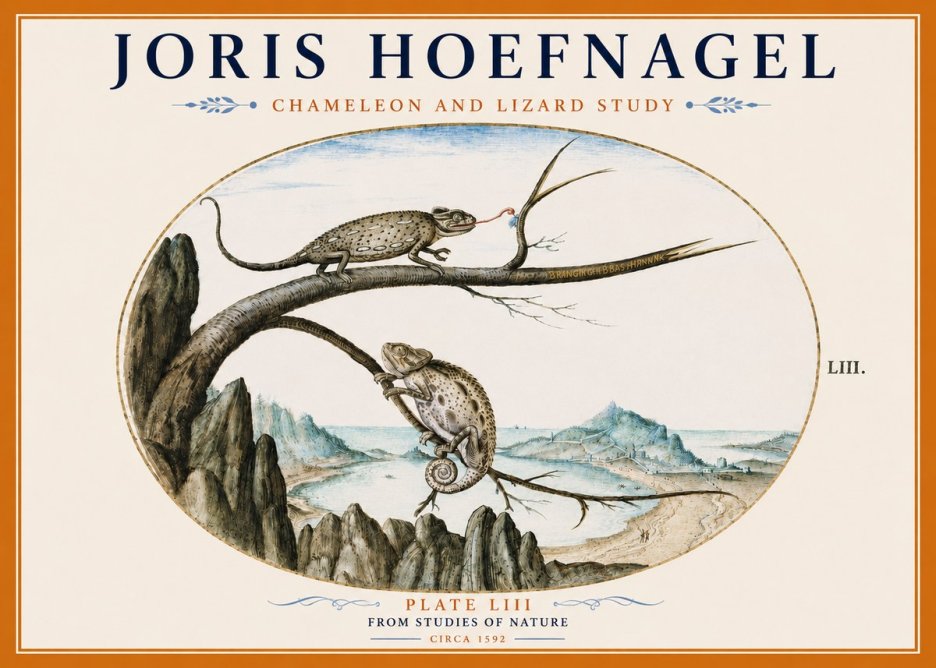 Joris Hoefnagel Chameleon and Lizard No6 - Póster