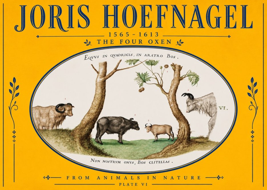 Joris Hoefnagel The Four Oxen No5 - Póster