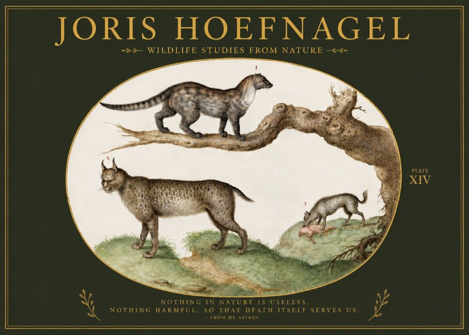 Joris Hoefnagel Wildlife Studies from Nature - Plate Xiv No2 - Póster