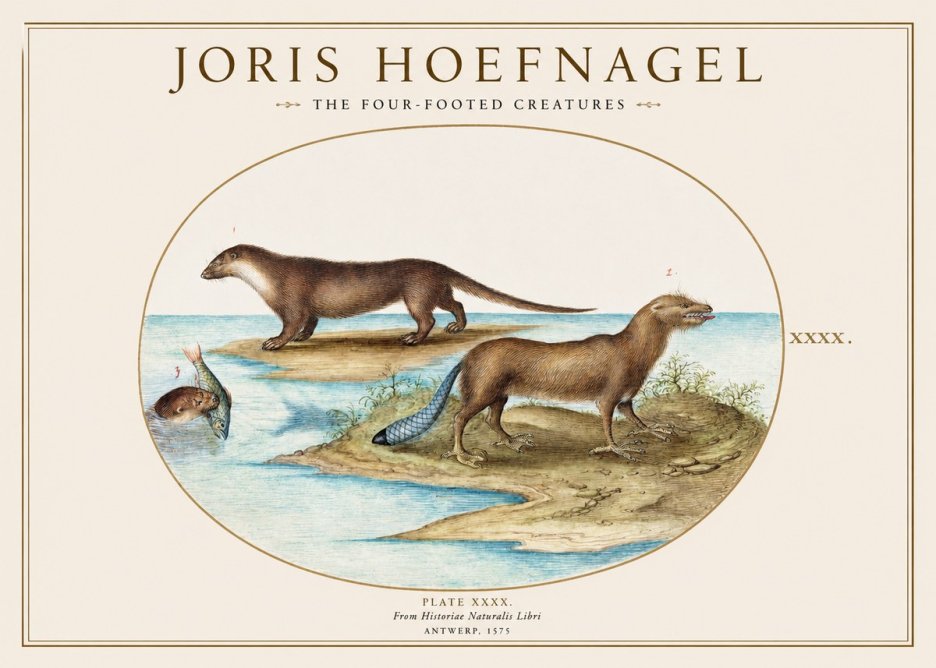 Joris Hoefnagel The Four-footed Creatures No1 - Póster
