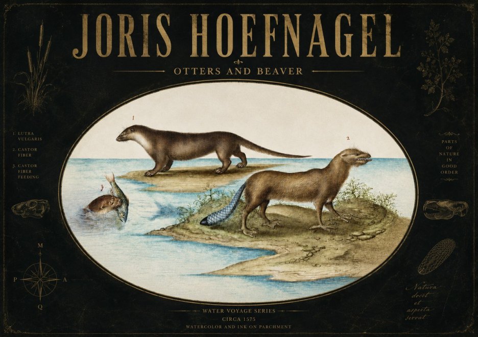 Joris Hoefnagel The Four-footed Creatures No4 - Póster