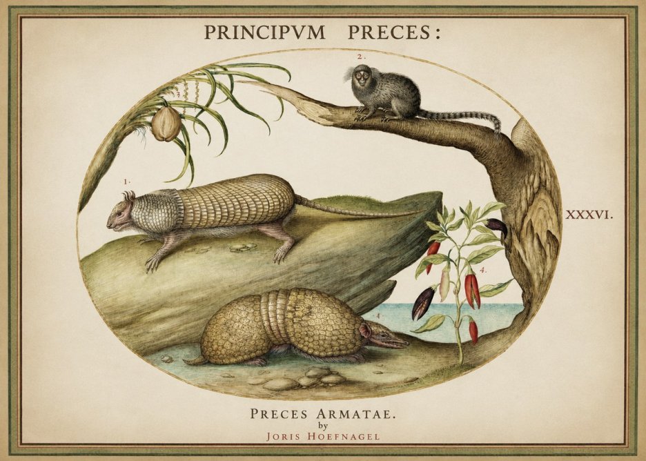 Joris Hoefnagel Praeces Armatae. No2 - Póster