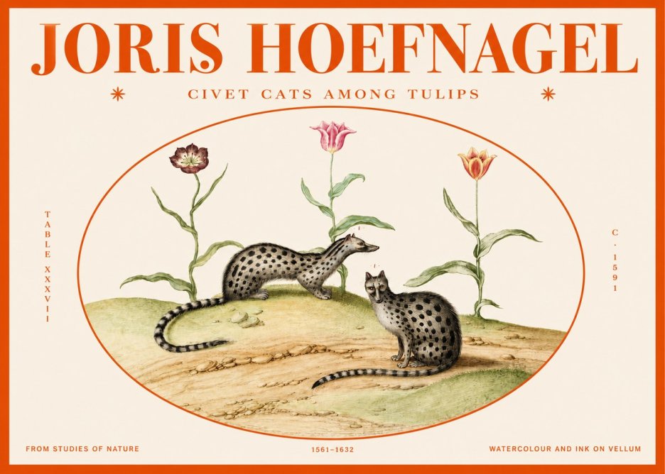 Joris Hoefnagel Civet Cats Among Tulips No2 - Póster