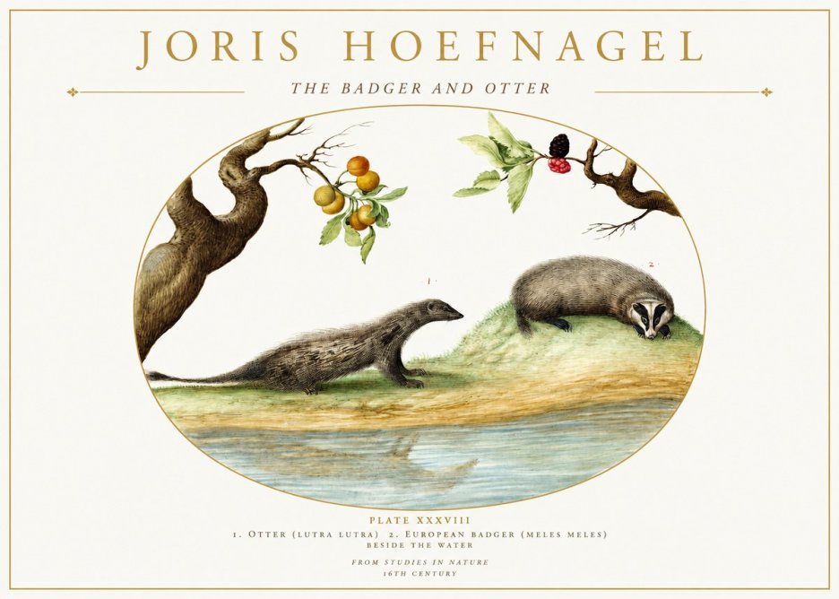 Joris Hoefnagel Studies of Animals and Nature Xxxxiii No2 - Póster