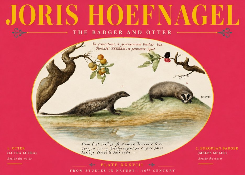 Joris Hoefnagel Studies of Animals and Nature Xxxxiii No6 - Póster