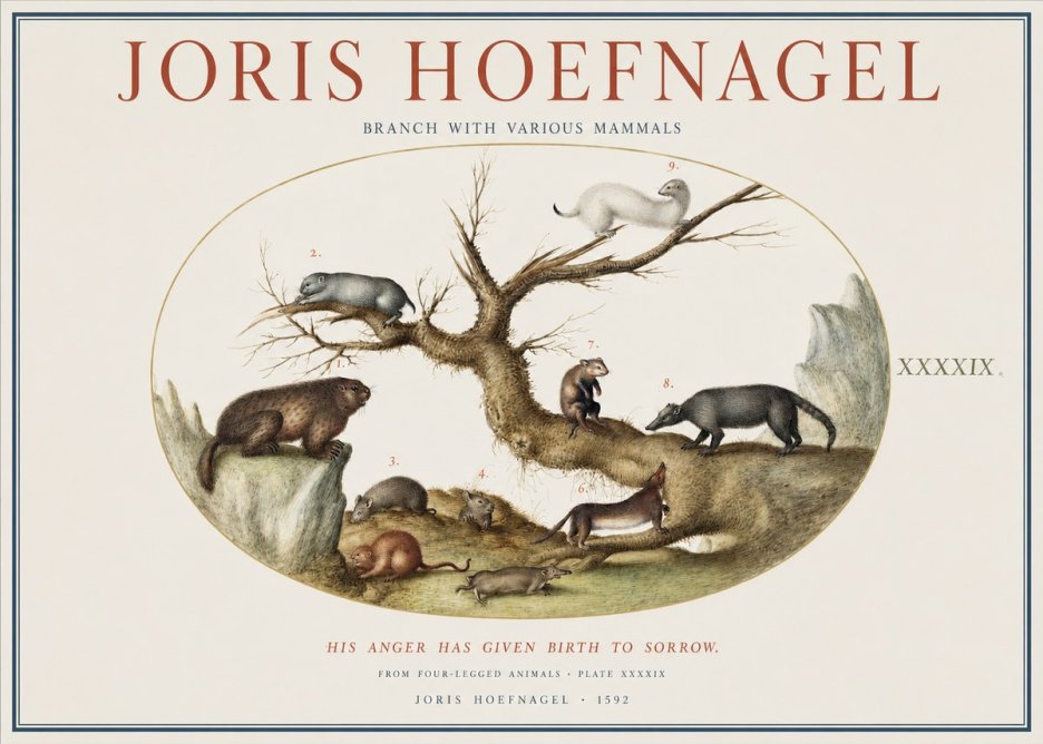 Joris Hoefnagel Branch with Various Mammals No1 - Póster