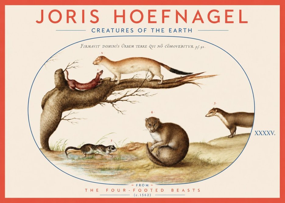 Joris Hoefnagel Creatures of the Earth I No3 - Póster