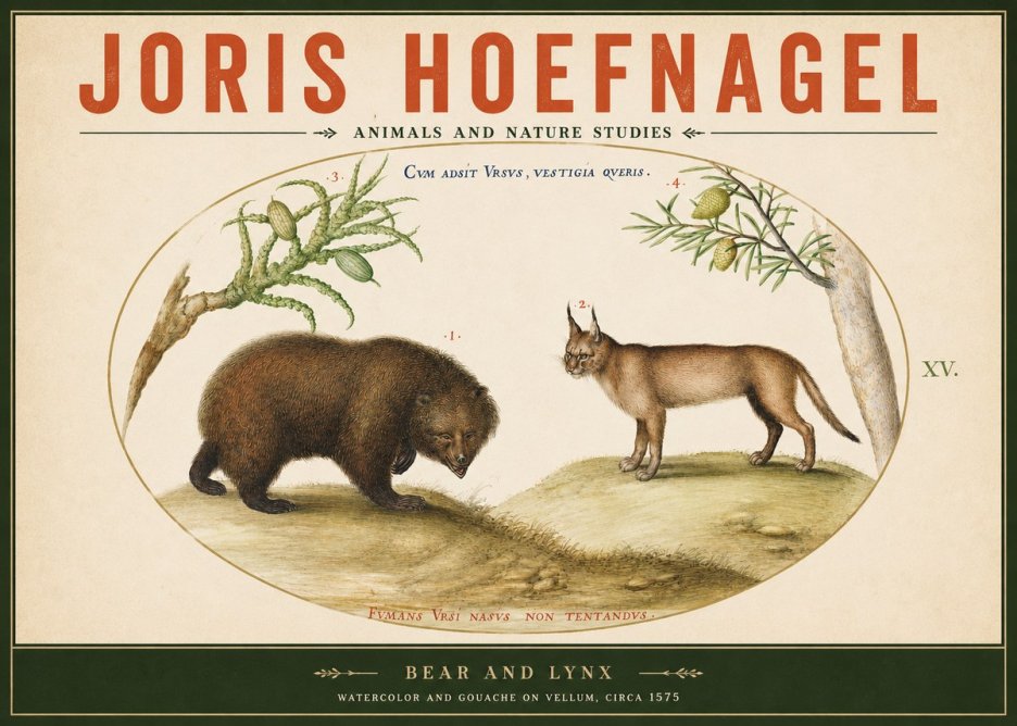 Joris Hoefnagel Bear and Lynx No2 - Póster