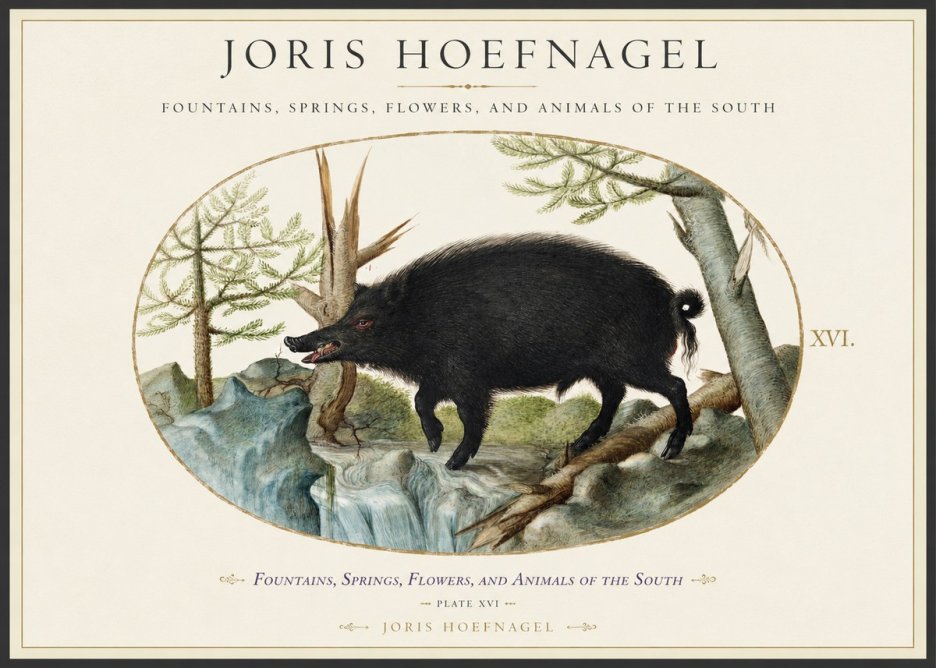 Joris Hoefnagel Fountains, Springs, Flowers, and Animals of the South - Plate Xvi No1 - Póster