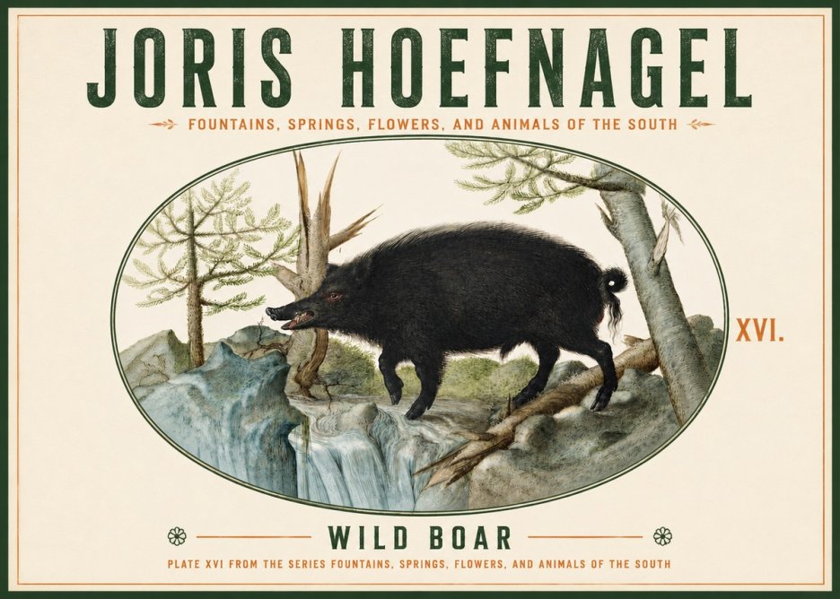 Joris Hoefnagel Fountains, Springs, Flowers, and Animals of the South - Plate Xvi No4 - Póster