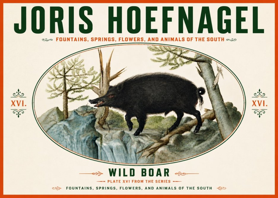 Joris Hoefnagel Fountains, Springs, Flowers, and Animals of the South - Plate Xvi No6 - Póster