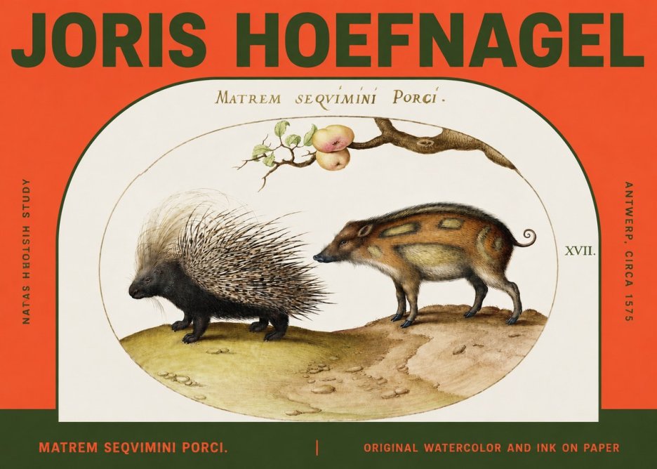 Joris Hoefnagel Matrem Seqvimini Porci. No2 - Póster