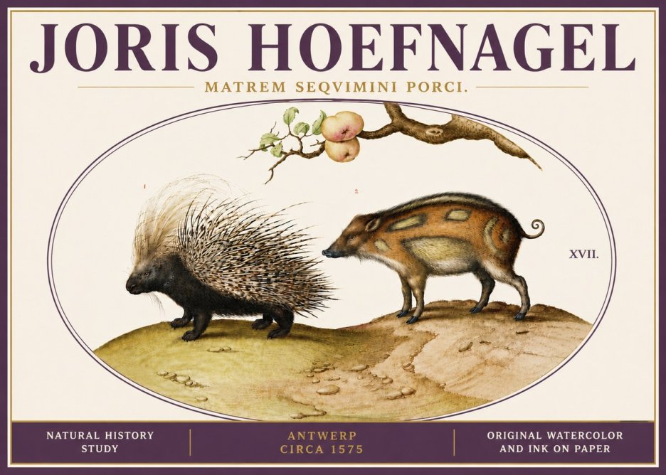 Joris Hoefnagel Matrem Seqvimini Porci. No6 - Póster