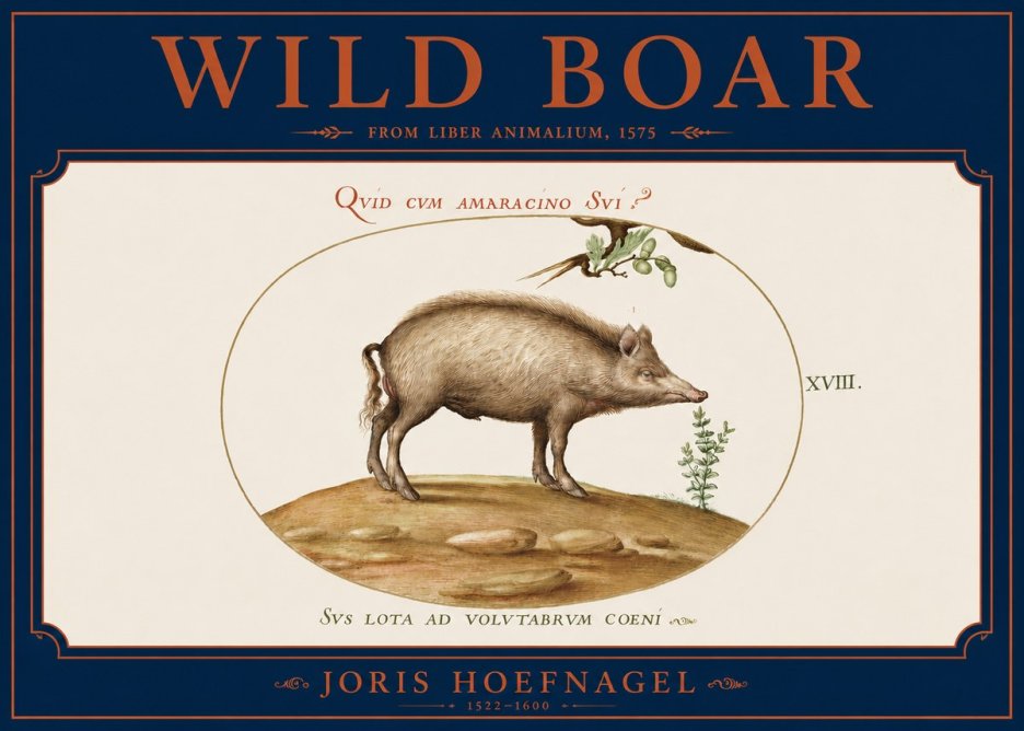 Joris Hoefnagel Qvid Cvm Amaracino Svi? No4 - Póster