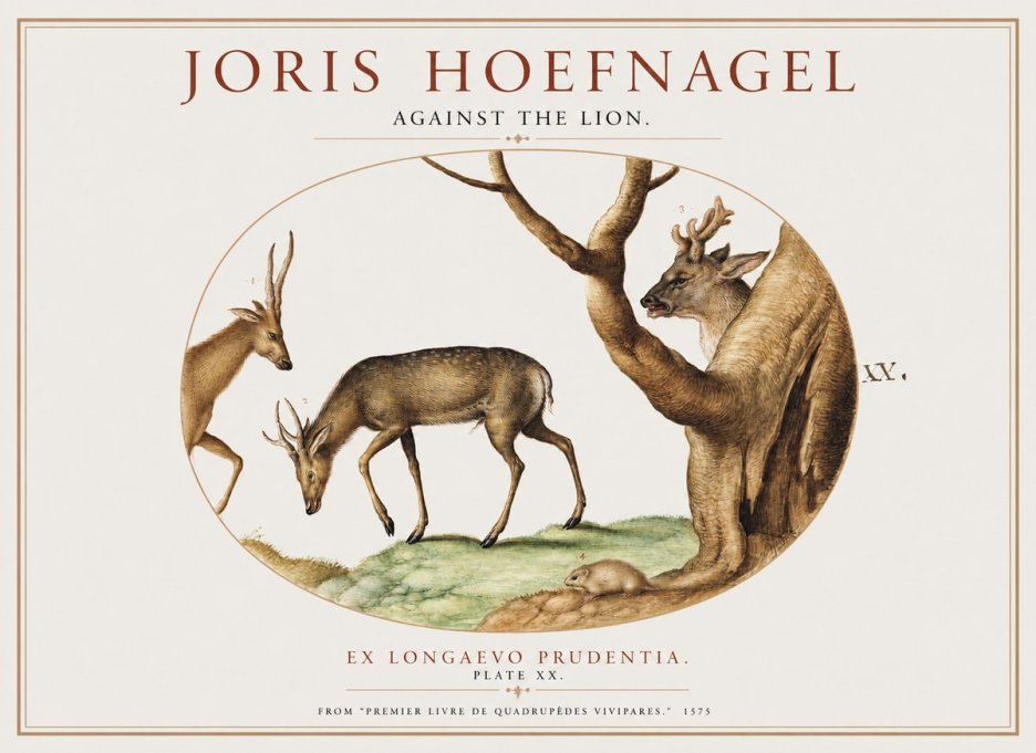 Joris Hoefnagel Do Not Rush Against the Lion. No5 - Póster