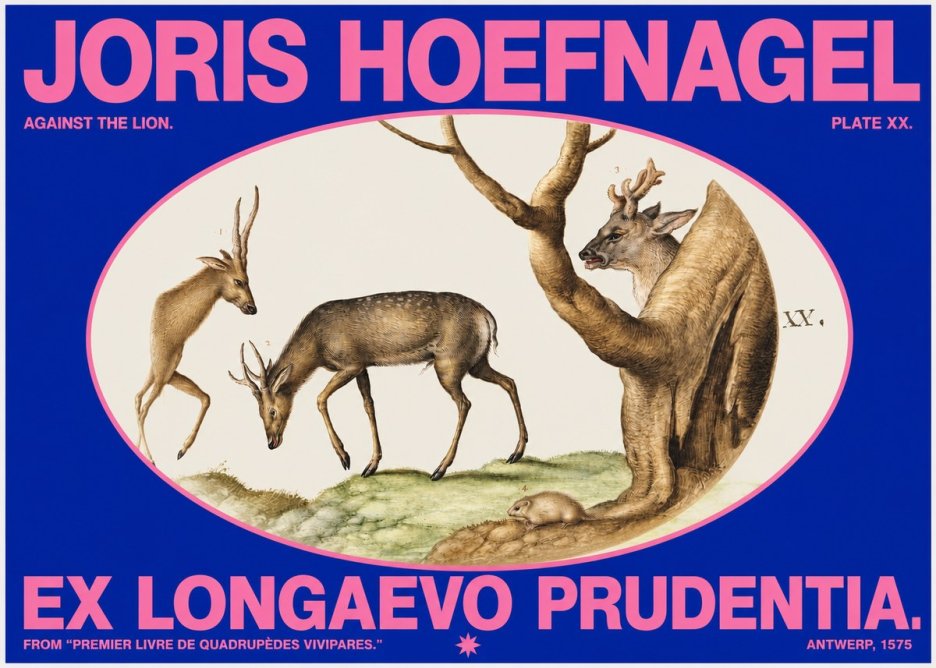 Joris Hoefnagel Do Not Rush Against the Lion. No6 - Póster