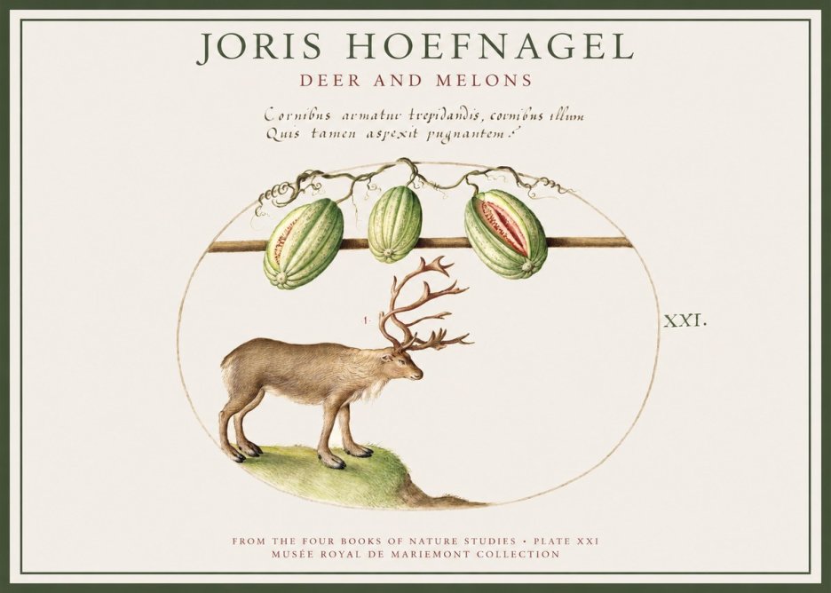 Joris Hoefnagel Arctic Nature Study No4 - Póster